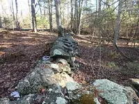 P2020037.webp