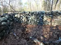 P2020041.webp
