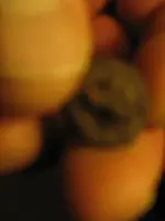 bbbbb 003.webp