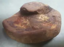 snake paint dish 1b.webp