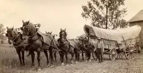 conestoga bells.webp