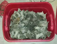 1453730532702.webp