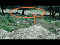 WikiFortio - Wikifortio_3.flv_snapshot_03.11_[2016.01.08_22.27.31].webp
