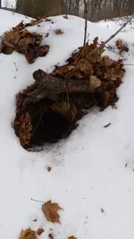 20160109_140943.webp