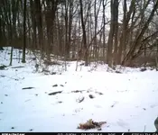 camera.webp