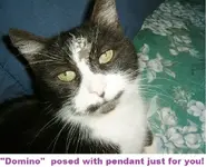 DSCF3539.webp