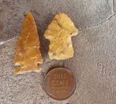 arrowhead differences.webp