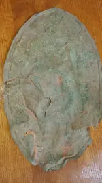 1455894830728.webp