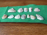DSCN1465.webp