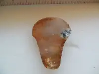 DSCN1527.webp