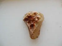 DSCN1539.webp