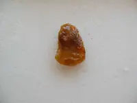DSCN1547.webp