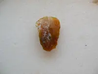 DSCN1551.webp