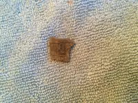 IMG_1507 - Copy.webp