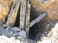 LBHG2.webp