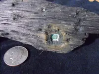 DSCF0004.webp