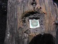 DSCF0024.webp