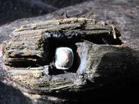 DSCF0023.webp