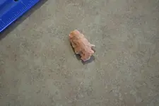 arrowhead.webp