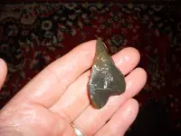 SDC11129.webp