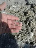 rock2.webp