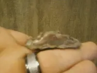 image_2.webp