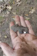 Toadys hunt fish hook 010.webp