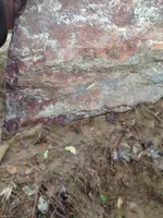 ImageUploadedByTreasureNet.com1454539125.046021.webp