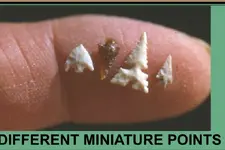 ImageUploadedByTreasureNet.com1457500260.743627.webp