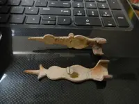 DSCN0467.webp