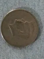 1456892922511.webp