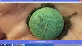 Screenshot (5).webp