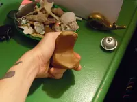 DSCN3748.webp