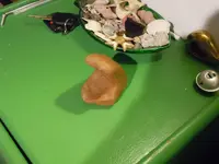 DSCN3749.webp