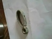 1455985071402.webp