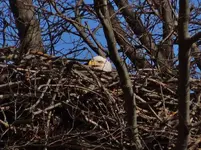 DSCN0083.webp