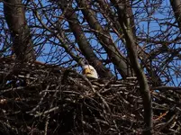 DSCN0087.webp