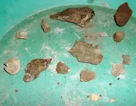 DSCF0005.webp