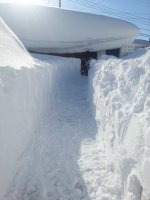Buffalo-storm-tunnel-to-garage-steve-frost.jpg