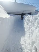 Buffalo-storm-tunnel-to-garage-steve-frost.webp