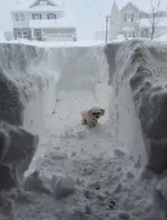 lake-effect-buffalo-west-new-york-polar-vortex-pictures-photos-8.webp