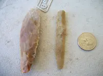 100_4169.webp