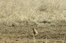 DP 5.webp