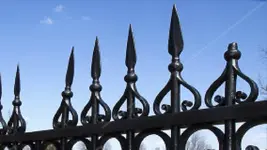 ImageUploadedByTreasureNet.com1455294826.273002.webp