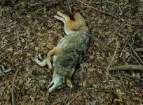 DSCN9688.webp
