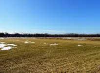 DSCN9883.webp