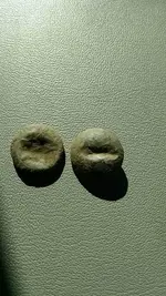 IMG_20160227_151443673.webp