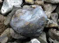 DSC02169-001.webp