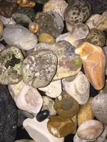 ImageUploadedByTreasureNet.com1457557828.421399.webp