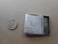 silver maybe 001.webp